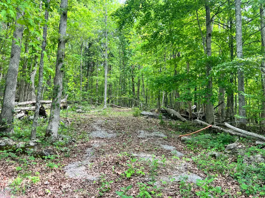 0 Echo Point Road #Tract 1, Bronston, KY 42518 - #3