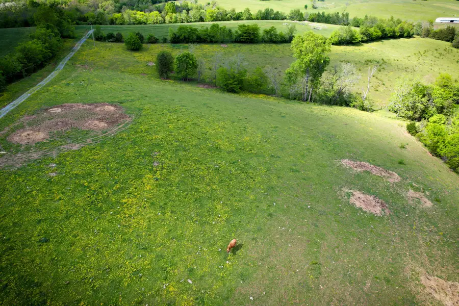 275 Teal Moon Trace, Flemingsburg, KY 41041 - #2