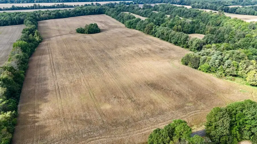 5100 Turner Landing Road, Kevil, KY 42053 - #2