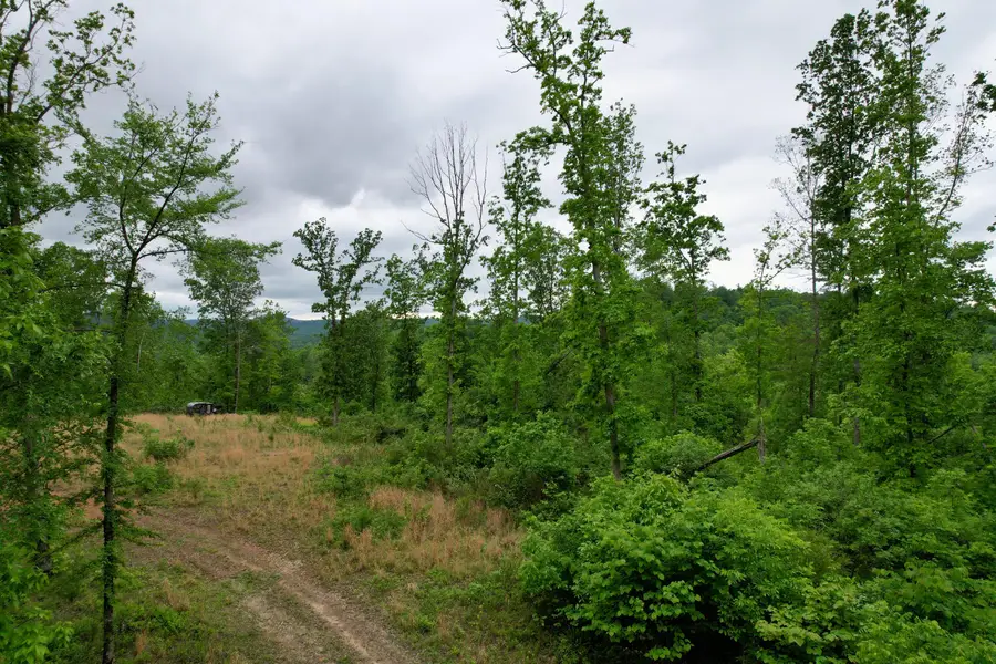 22 Buck Run Ridge Road, Monticello, KY 42633 - #3