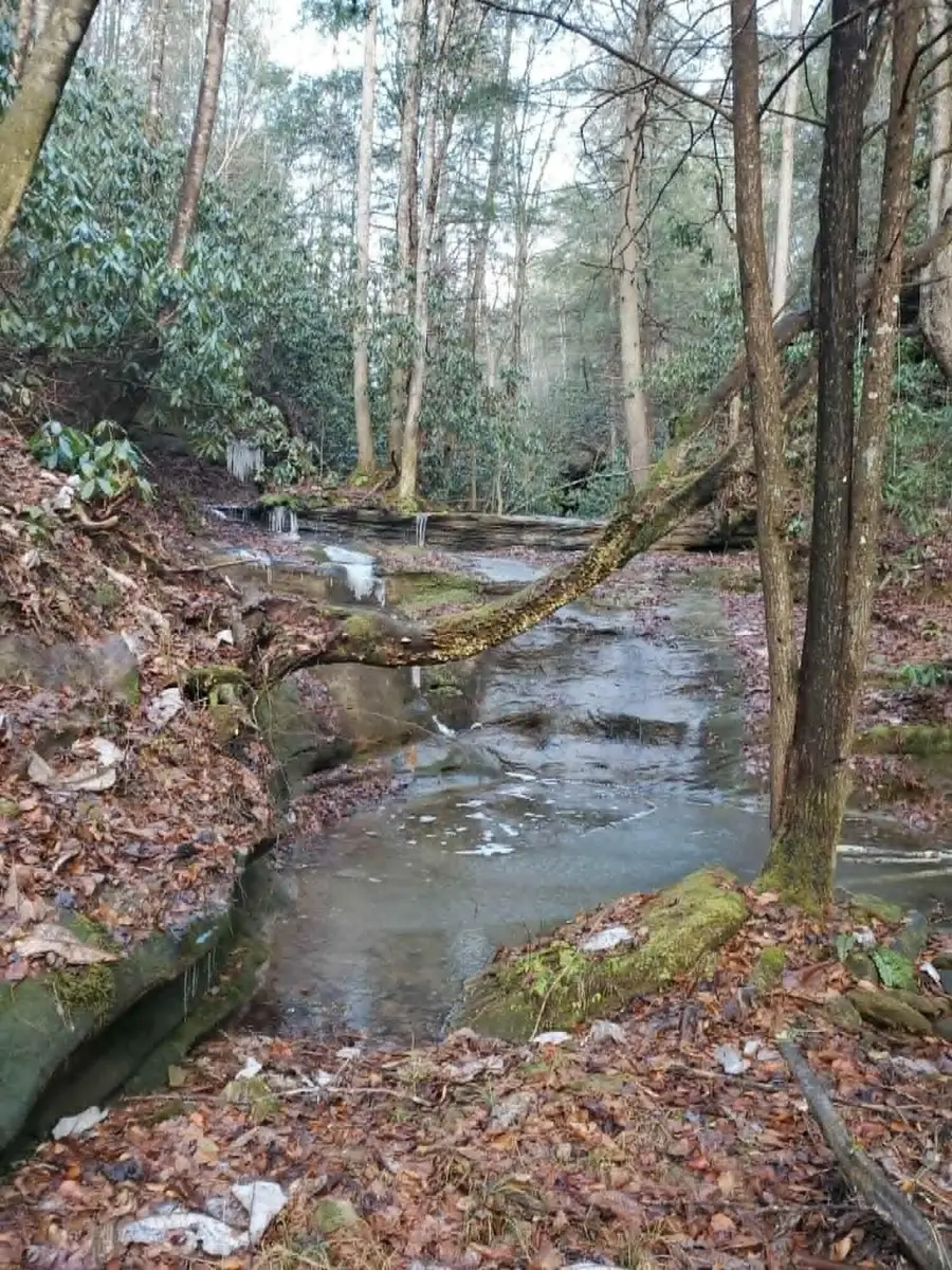 Lot 2 Mullins Point Wicked Oak Road, Campton, KY 41301 - #2
