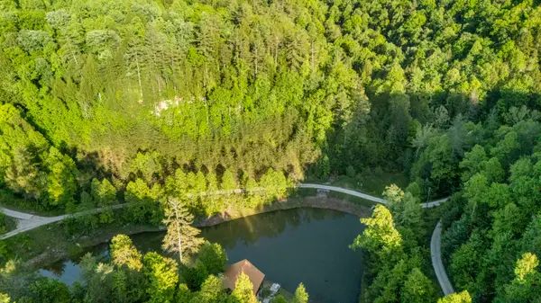 lot 44 Paradise Valley Retreat #44, Rogers, KY 41365