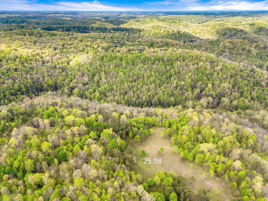 1111  Watt Nantz Road, East Bernstadt, KY 40729 - #2