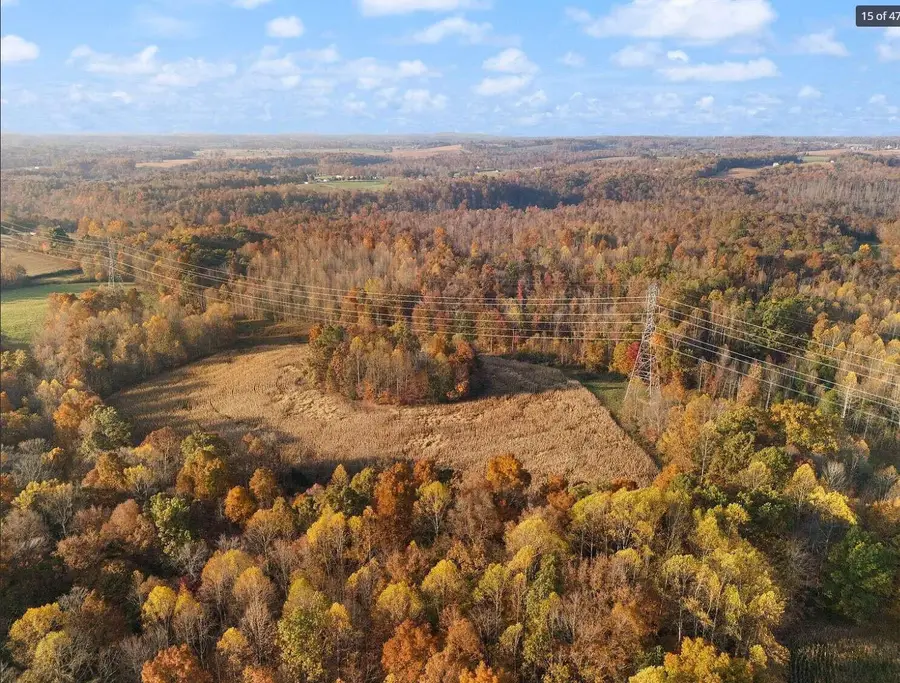 210 Singleton School Road, Eubank, KY 42567 - #2