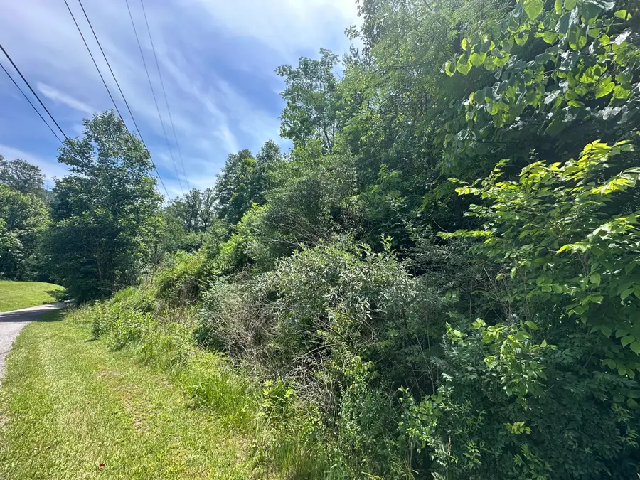 Lots 26, 27 Richmond Hill Estates, Van Lear, KY 41265 - #2