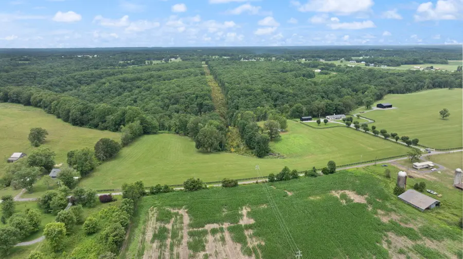 14.91 Acres  Flatwoods Road, Nancy, KY 42544 - #3