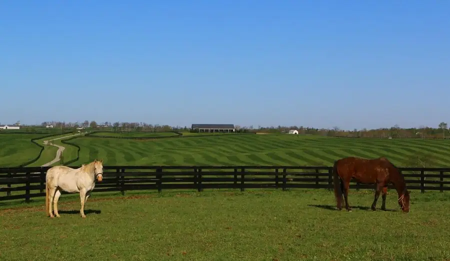 1455 Cane Ridge Road, Paris, KY 40361 - #2