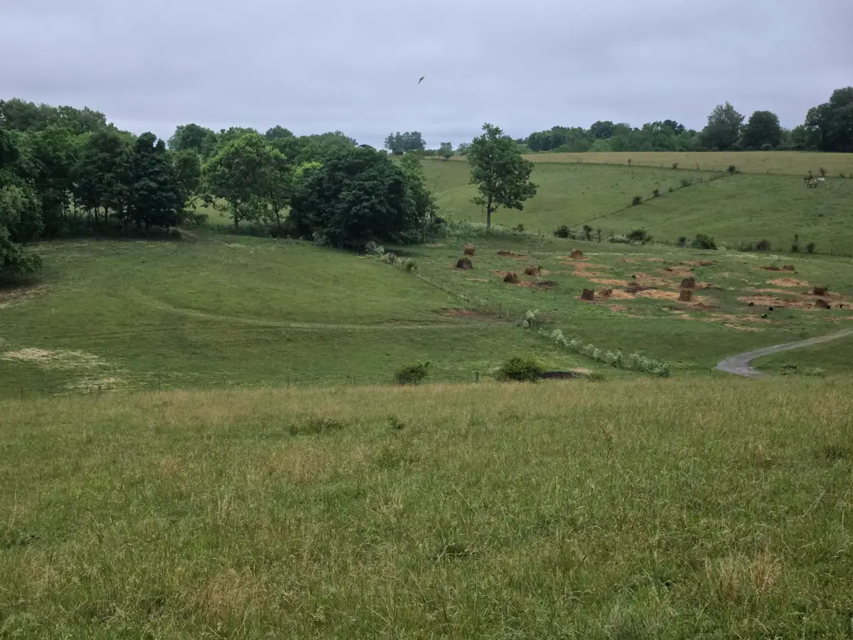 4430 State Hwy 1194, Stanford, KY 40484 - #1