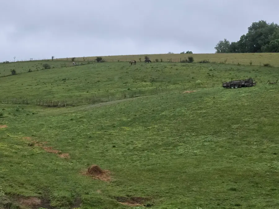 4430 State Hwy 1194, Stanford, KY 40484 - #3