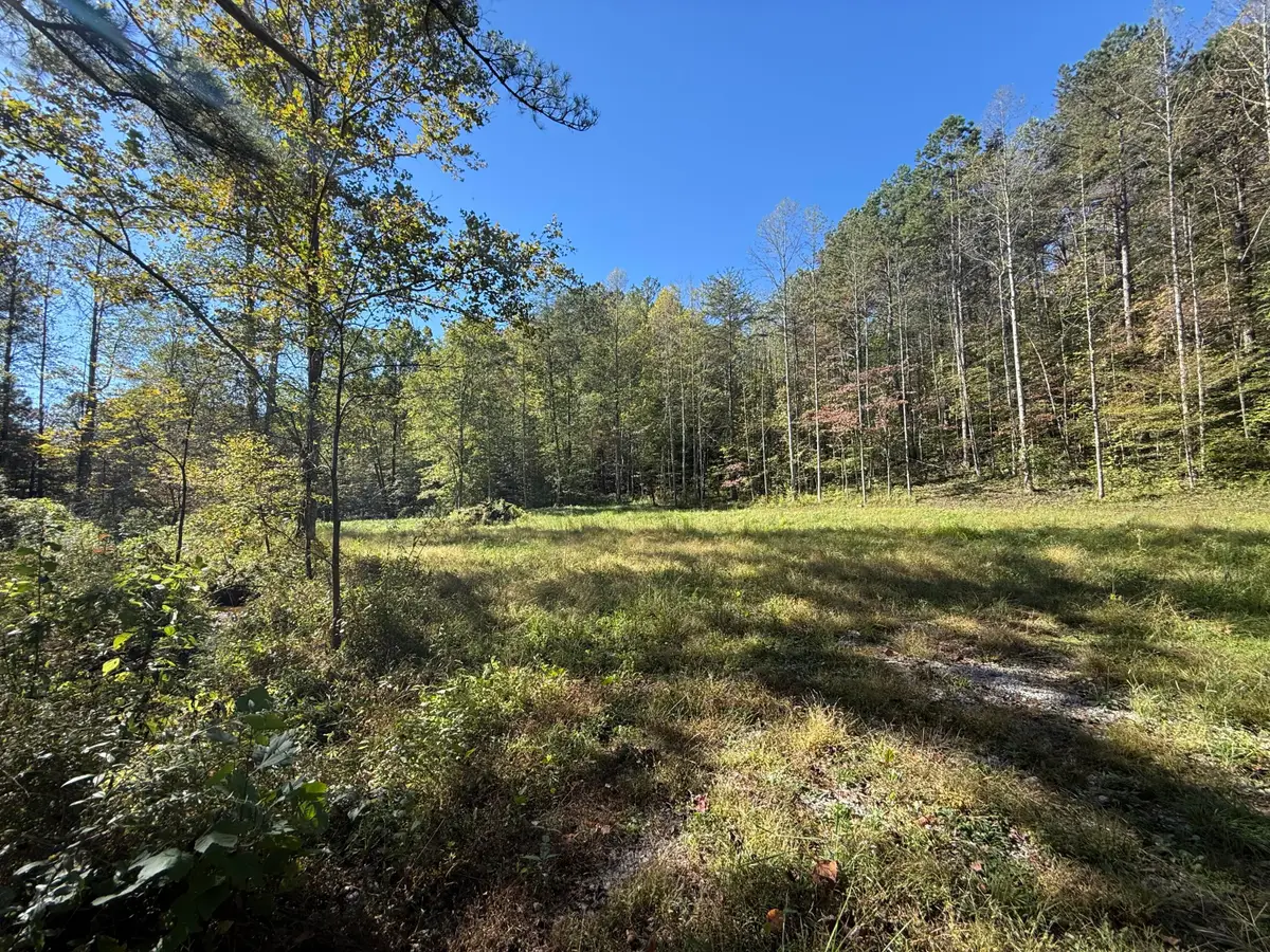 9999 Reed Branch Road, Manchester, KY 40962 - #1