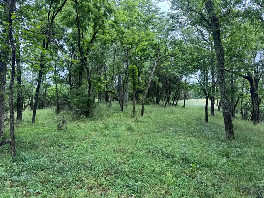 4135 Big Andy Ridge Road #Tract 9, Rogers, KY 41365 - #2