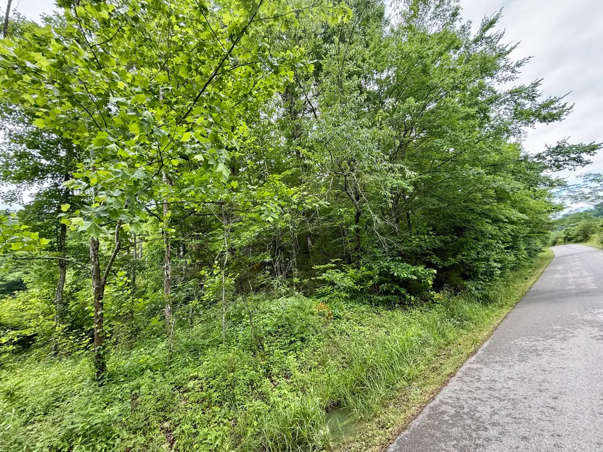 1350 Owens Branch Road, Dunnville, KY 42528 - #1