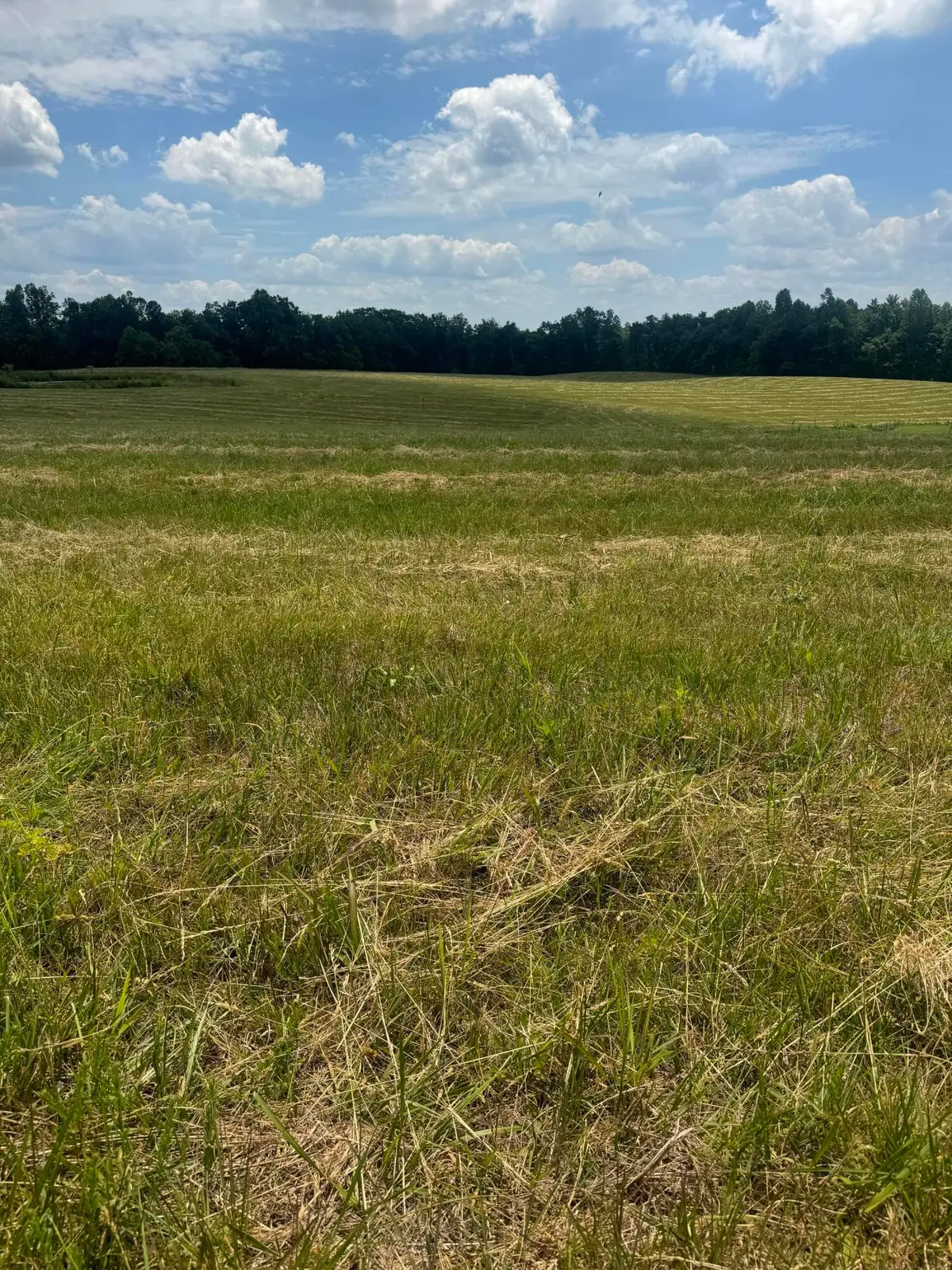 001  Upper Dry Fork Rd #1, McKee, KY 40447 - #1