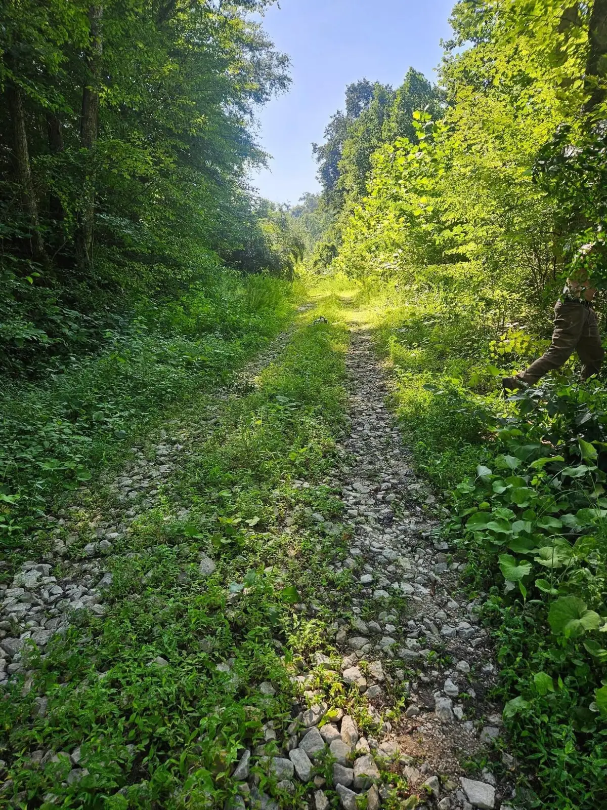 4242 Right Fork Georges Creek Road, Louisa, KY 41230 - #1