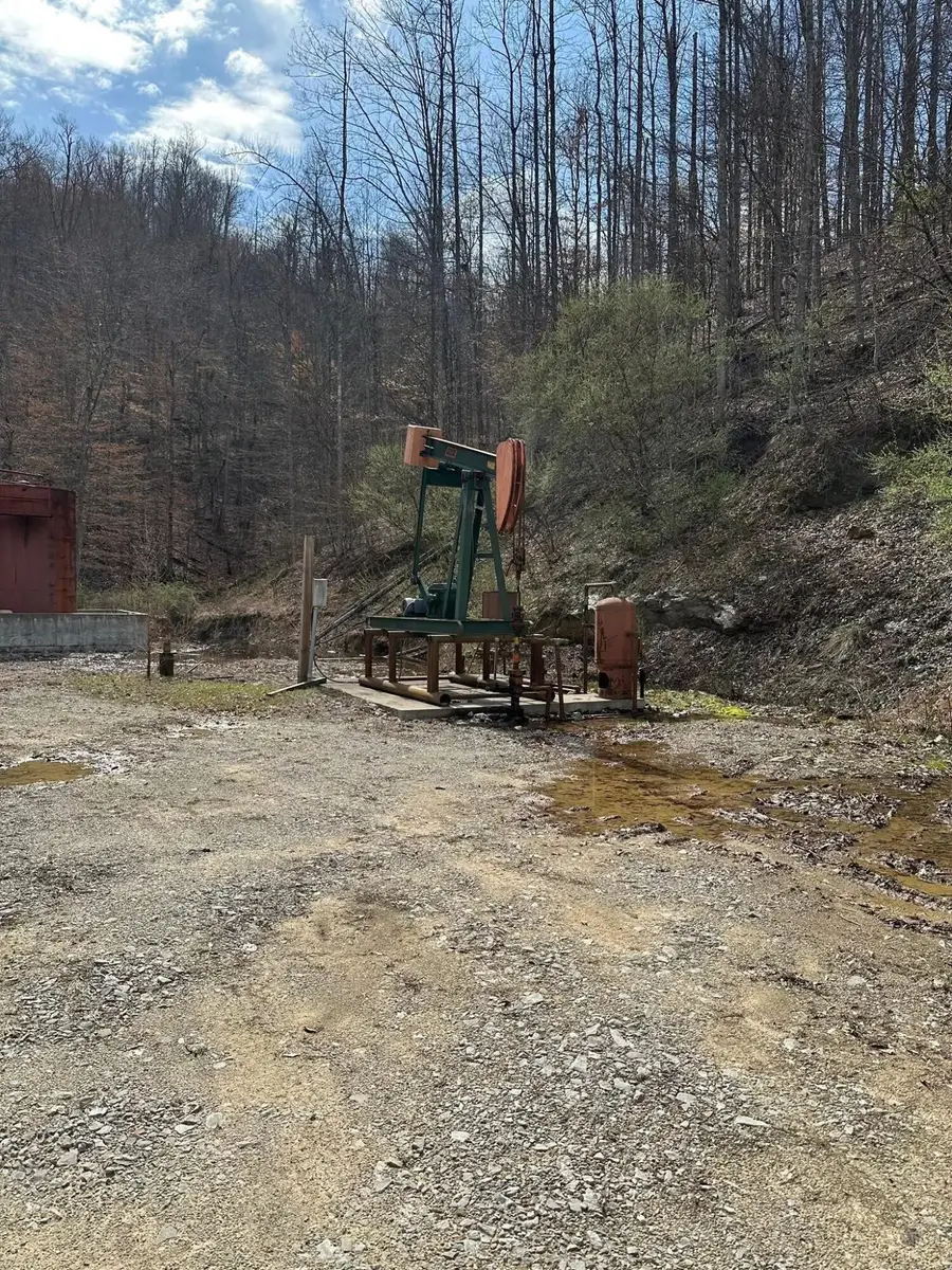 4242 Right Fork Georges Creek Road, Louisa, KY 41230 - #3