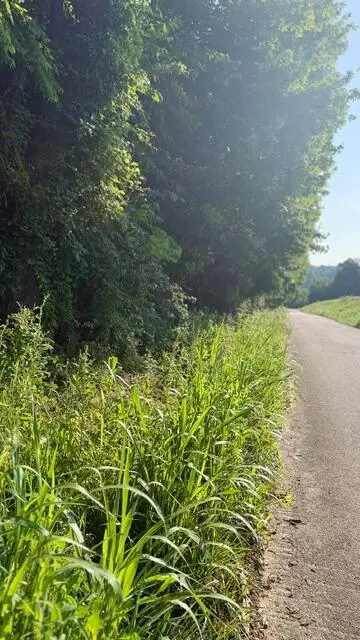 1350 Norwood Mt. Zion Road, Science Hill, KY 42553 - #2