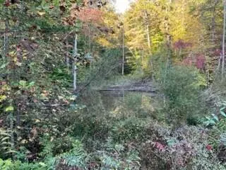 1001 Wilber Hill Road, Blaine, KY 41124