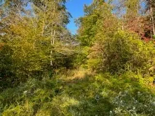 1001 Wilber Hill Road, Blaine, KY 41124 - #3