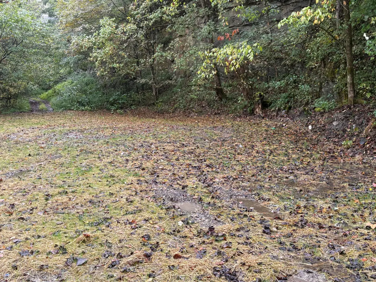 3348 Lower Pompey Branch Road, Shelbiana, KY 41562 - #1