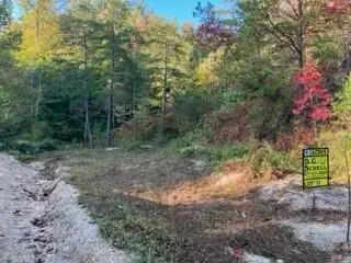 1003 Wilber Hill Road, Blaine, KY 41124 - #2