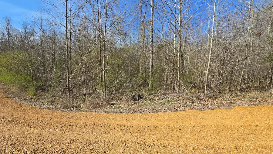 000 Mcclain Drive, New Concord, KY 42076 - #2
