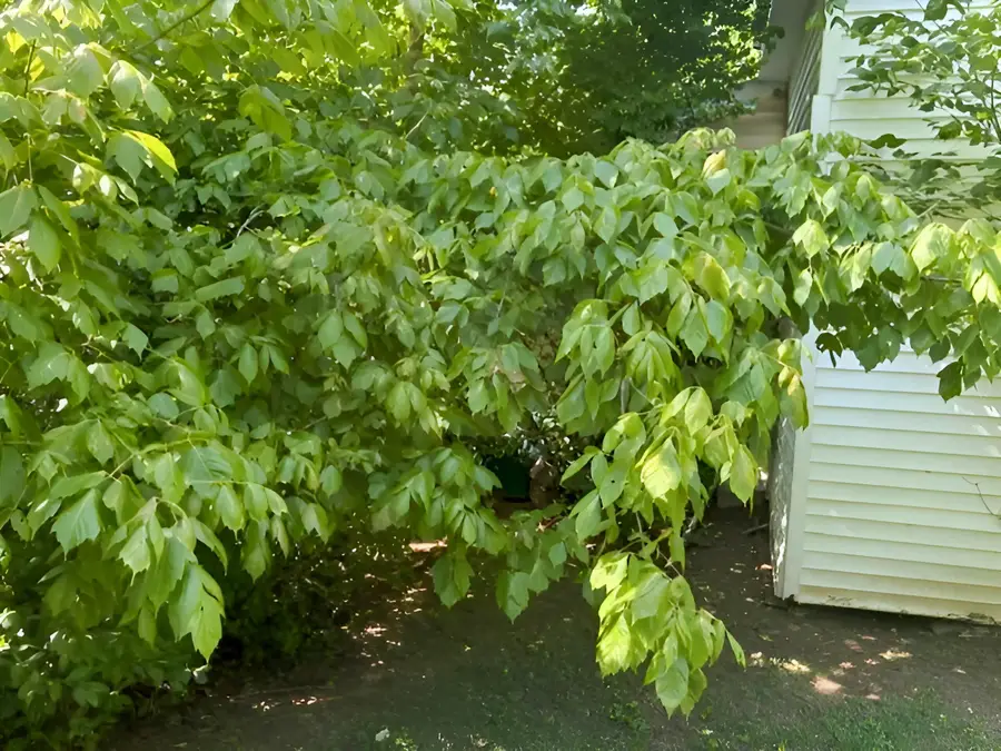 399 Campground Road, Bonnieville, KY 42713 - #2