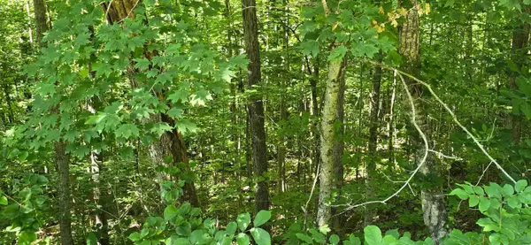 2082 Roberts Bend Road, Burnside, KY 42519