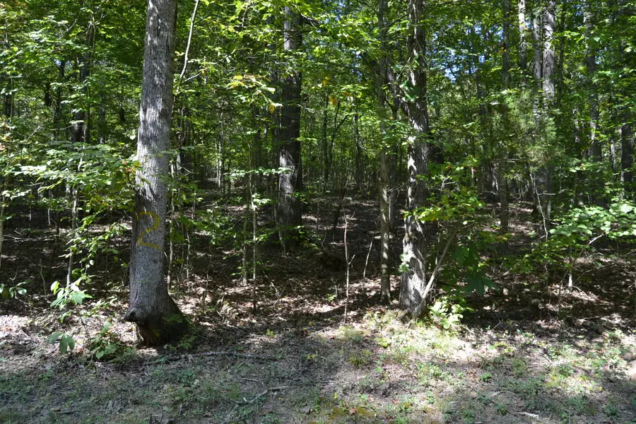 2 Rolling Mill Rd Road, Eddyville, KY 42038 - #2