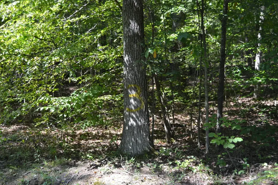 3 Rolling Mill Road, Eddyville, KY 42038 - #2