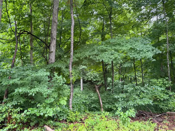 lot 3  George Hardwick Drive, Bronston, KY 42518
