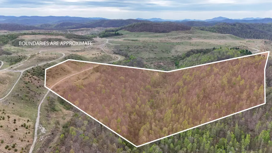 00 Dryfork Rd Road, Helton, KY 40840 - #2