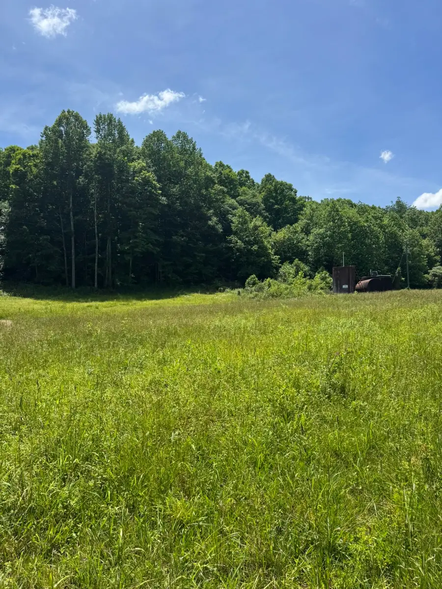 2240 Patty Ridge Road, Russell Springs, KY 42642 - #3