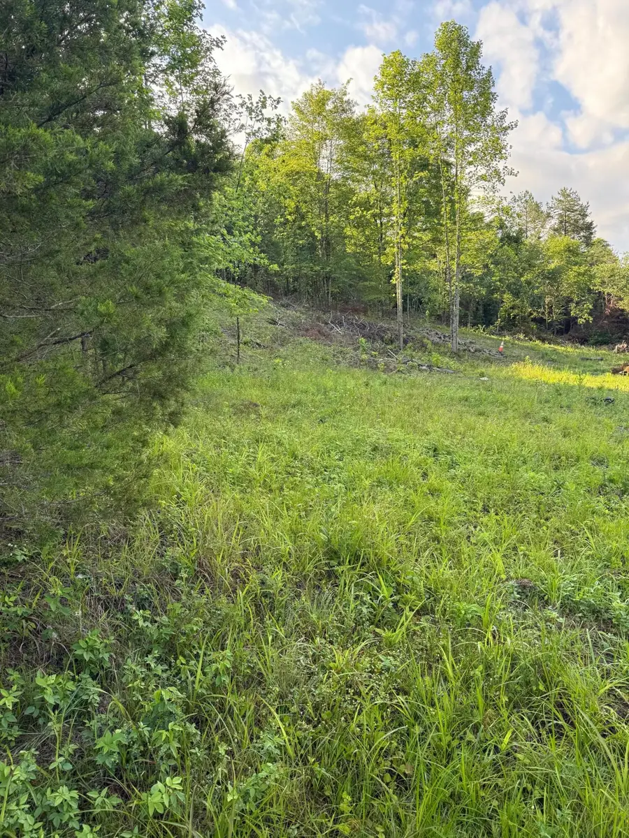 110 Dean Road #Tract 1, McKee, KY 40447 - #2