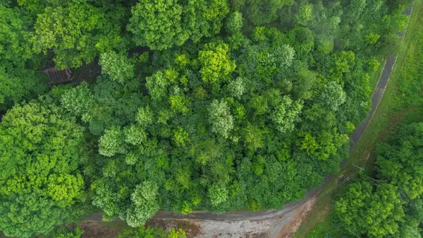 911 Bradley Road, Albany, KY 42602