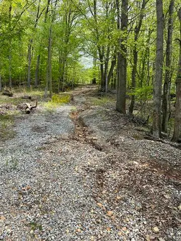000 Blake Road #Lot 39 & 40, Eddyville, KY 42038 - #2