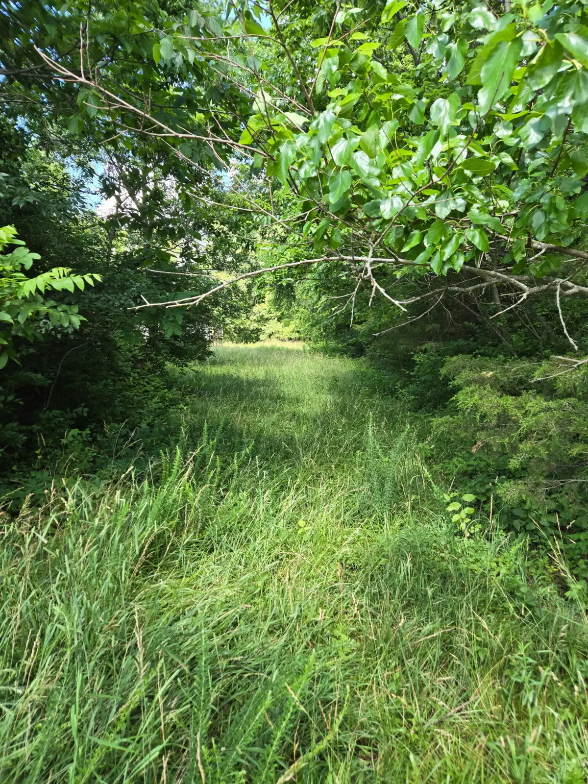 25 Leaning Oak Road, Corinth, KY 41010 - #1