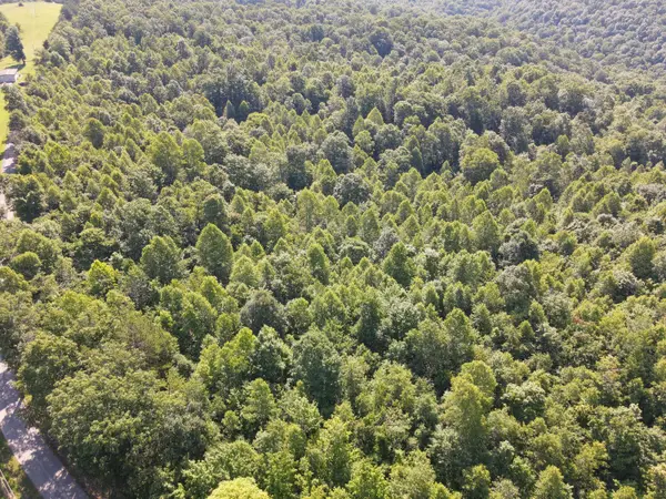 1407 Denton Phelps Road, Somerset, KY 42501
