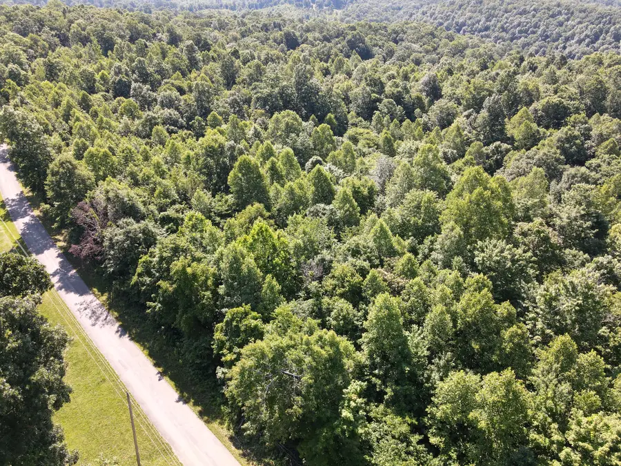 1407 Denton Phelps Road, Somerset, KY 42501 - #2