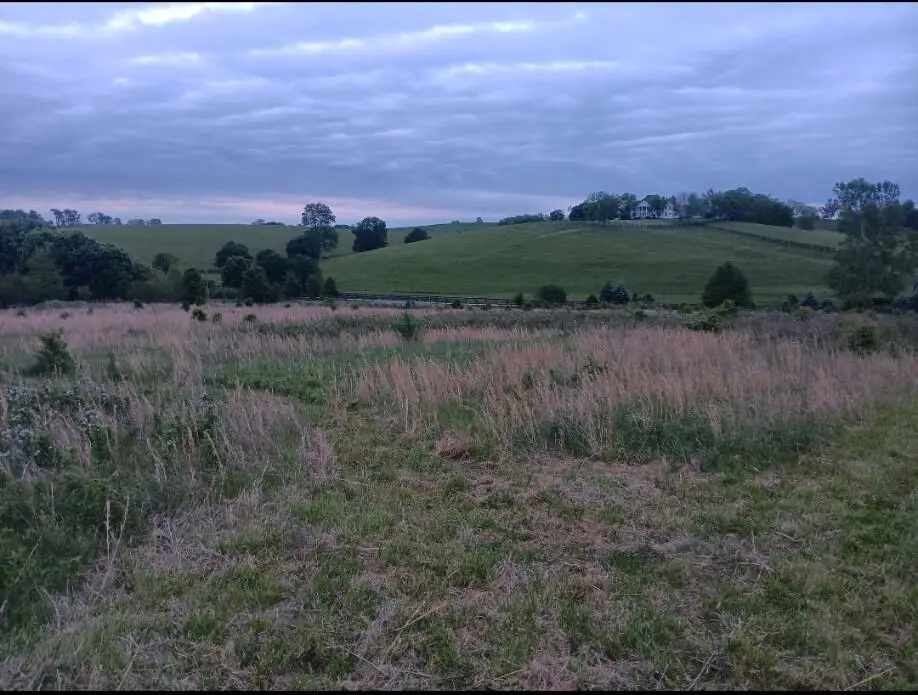 435 Stone Road #Lot A, Paris, KY 40361 - #1