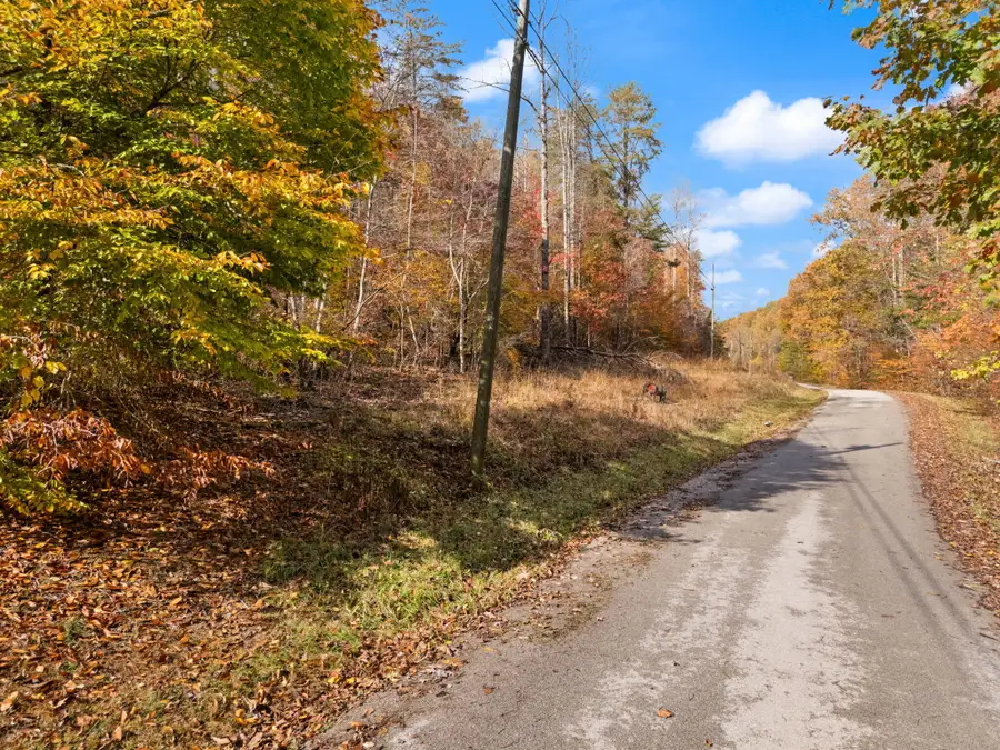 0000 Wild Ridge Road, Morehead, KY 40351 - #3