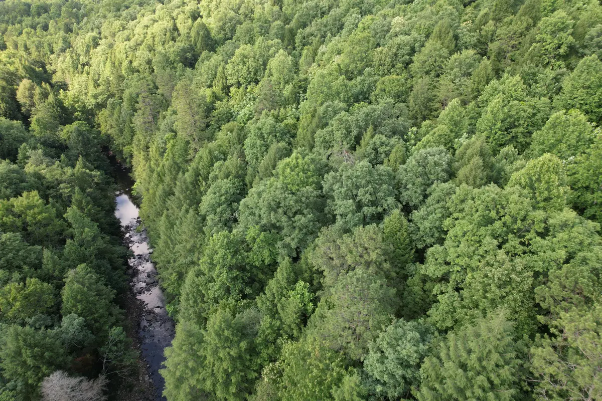 8119 Sandhill Road, Whitley City, KY 42653 - #1