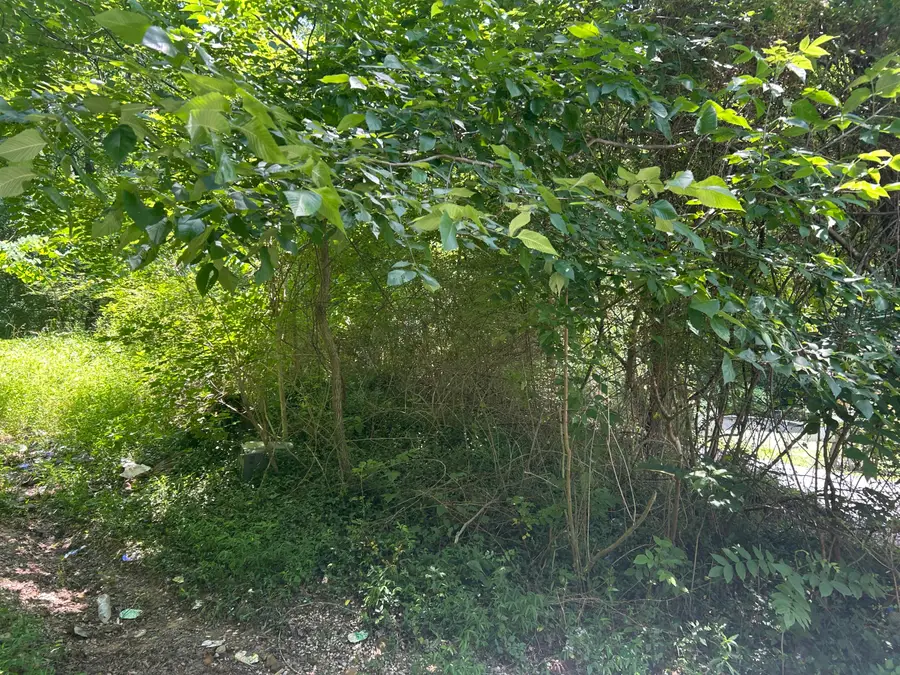 00 E Lewis Street #00, Corbin, KY 40701 - #2