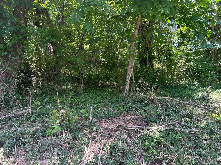 00 E Lewis Street #00, Corbin, KY 40701 - #3