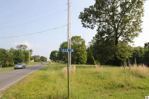 0 Lillie Lane #Lot 29, Gilbertsville, KY 42044