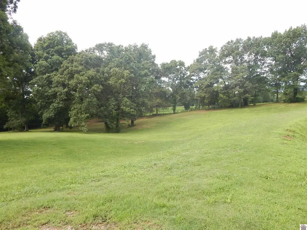 2510 Olive Hamlett Road, Benton, KY 42025 - #1