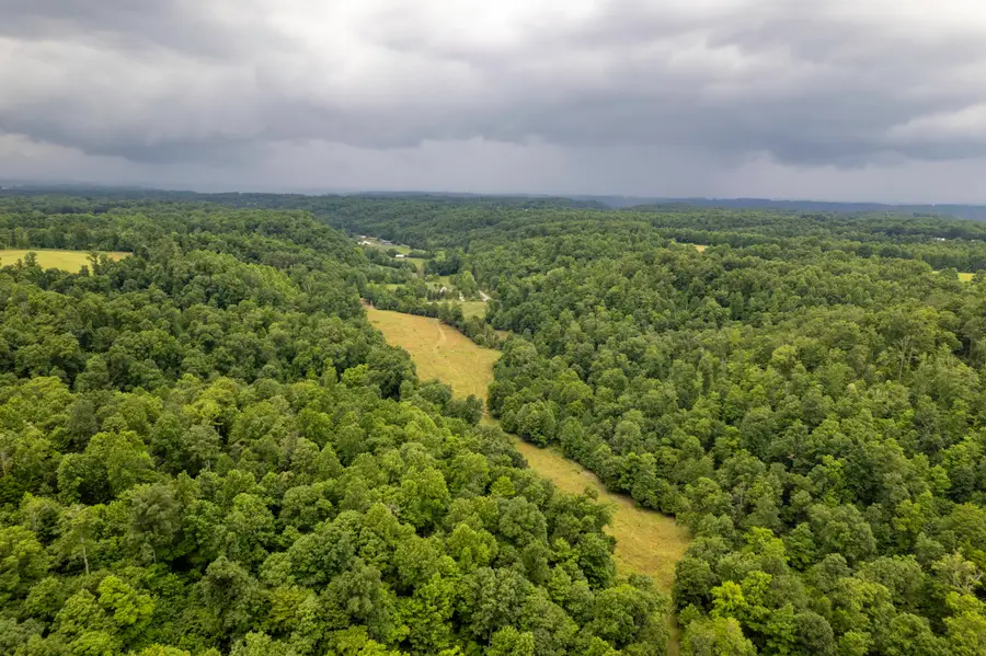 2000 2000 Gosser Ridge Rd Road, Liberty, KY 42539 - #3