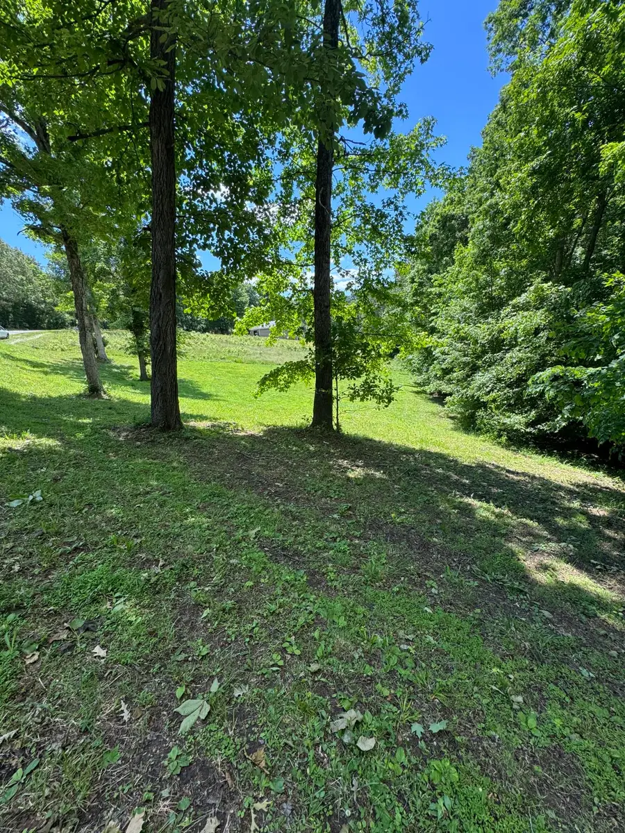Lot #35 E Cobblestone Ct, Kuttawa, KY 42055 - #2