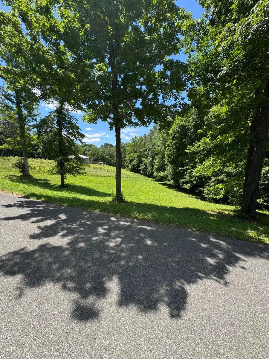 Lot #35 E Cobblestone Ct, Kuttawa, KY 42055 - #3