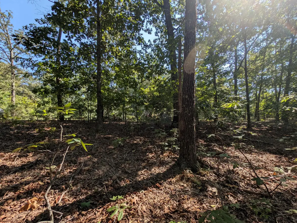 130 Lot 130 Eagle Look Ln Lane, Murray, KY 42071 - #1