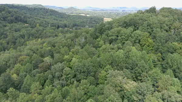 1803 Fisher Creek Road, Lebanon, KY 40033